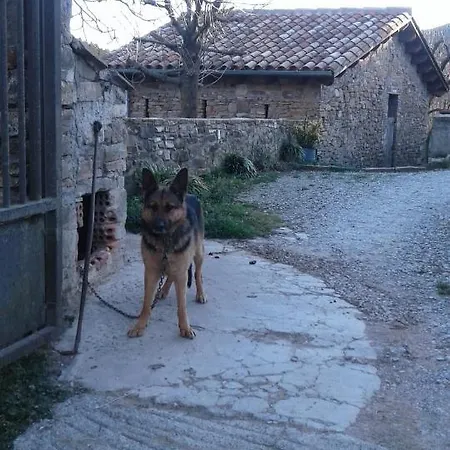 Daire Mas Pujol *